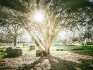 cemeteries in Bellevue, WA