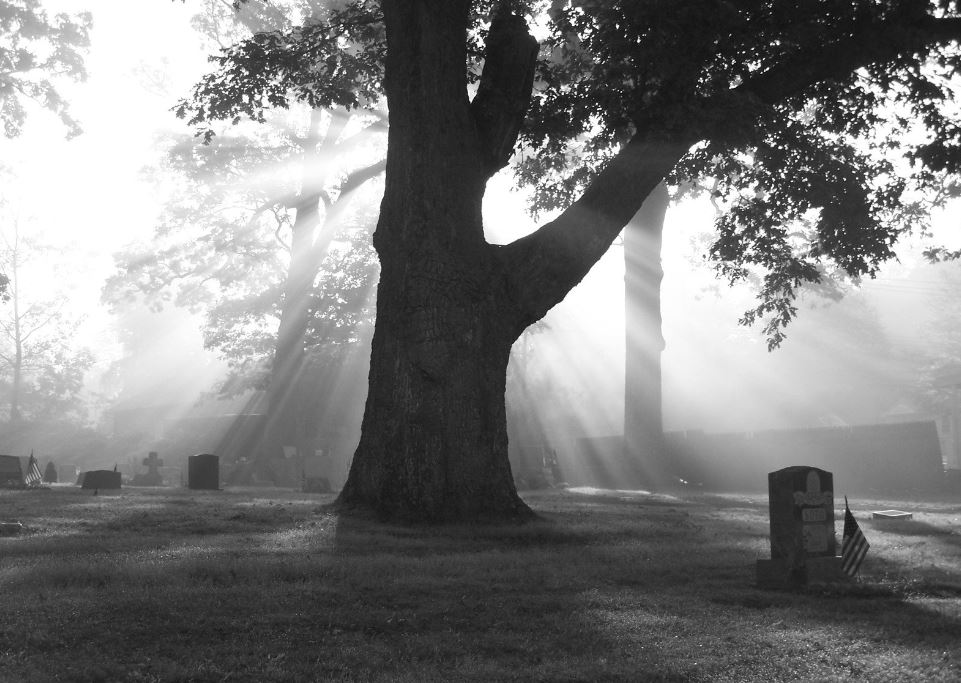 cemeteries in Bellevue, WA